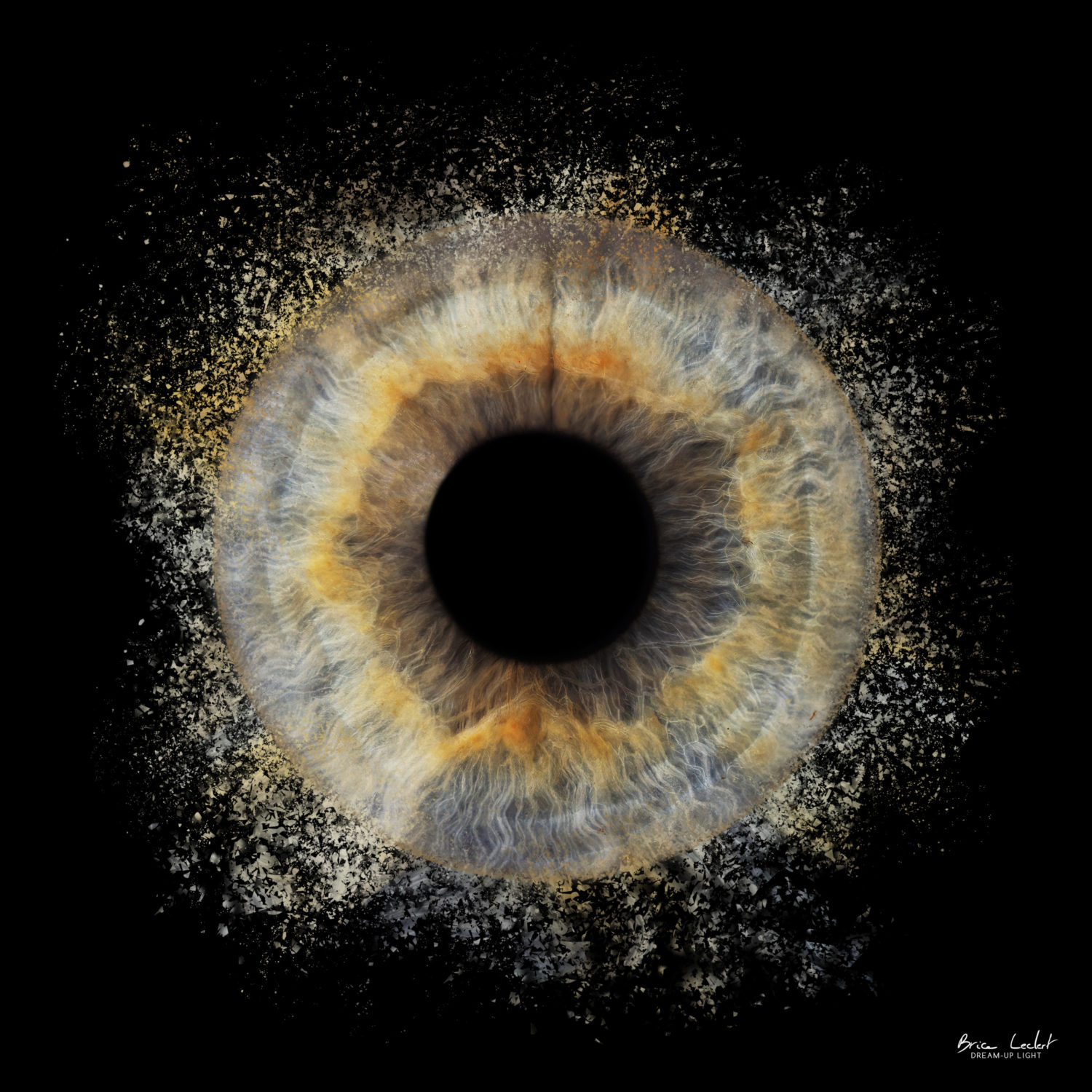 iris explosion de l'oeil
