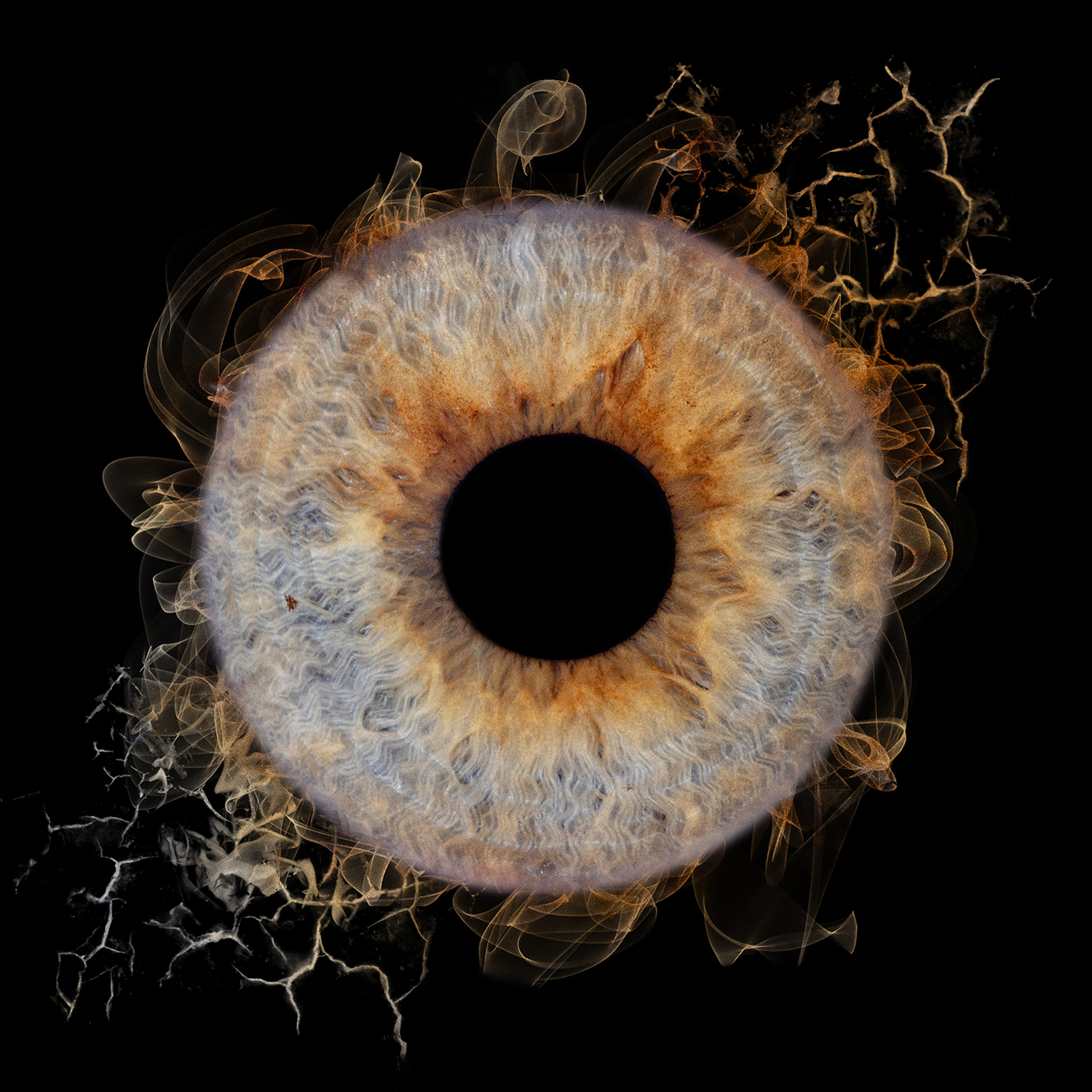 Photographie formation iris